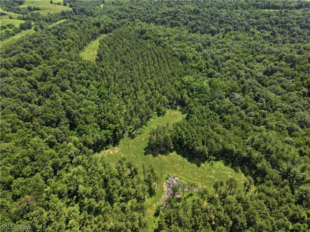 0 Tract D E. Reinersville Road, Mcconnelsville, OH