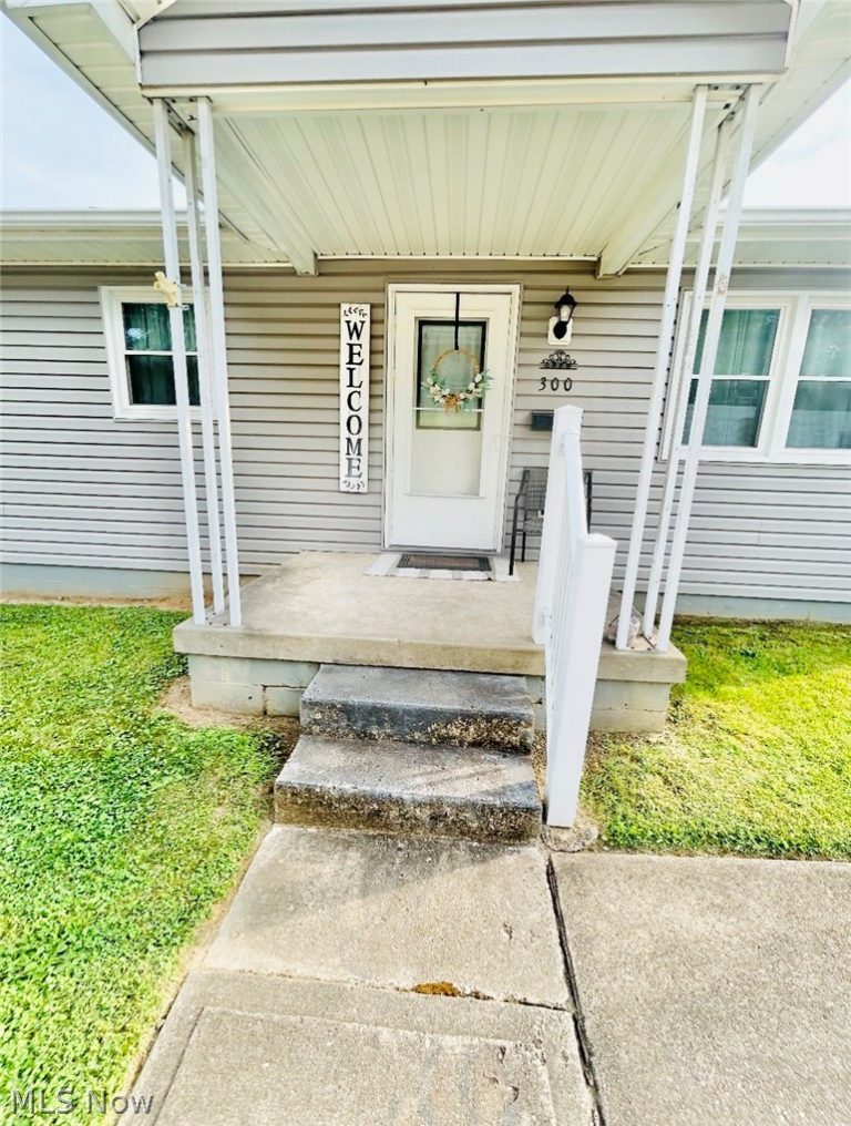 300 38th Street, Shadyside, OH - Photo 3