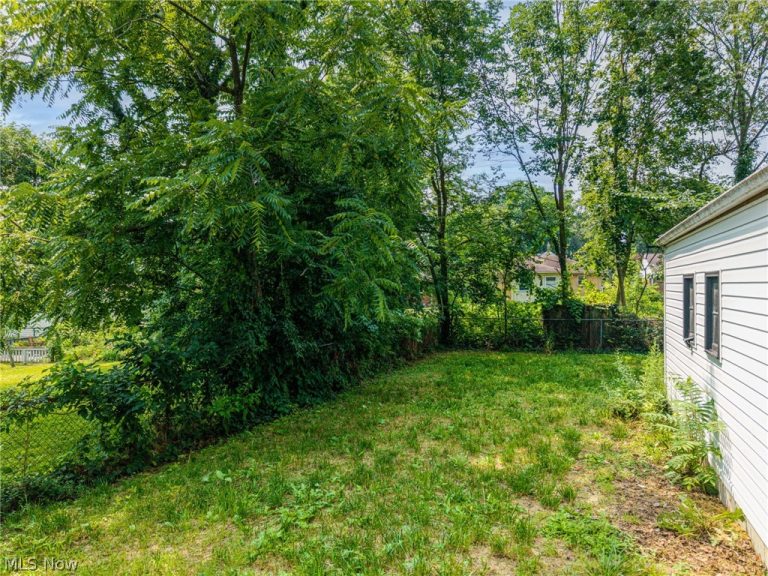36 Hiram Street, Barberton, OH - Photo 3