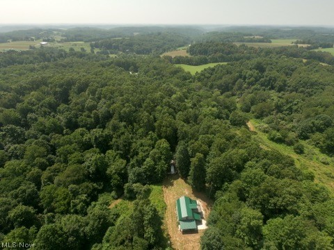 1047 Poinsettia Road, Scio, OH - Photo 4