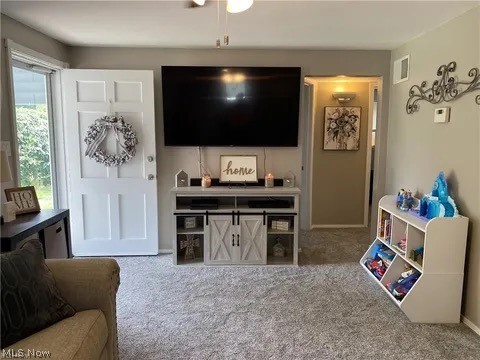 256 Roanoke Avenue, Austintown, OH - Photo 2