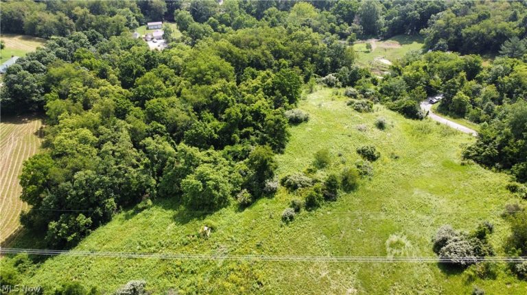 Township Road 135, Dillonvale, OH - Photo 2