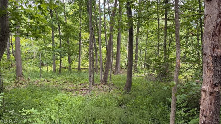 Crosby Cook Road, Rome, OH - Photo 8