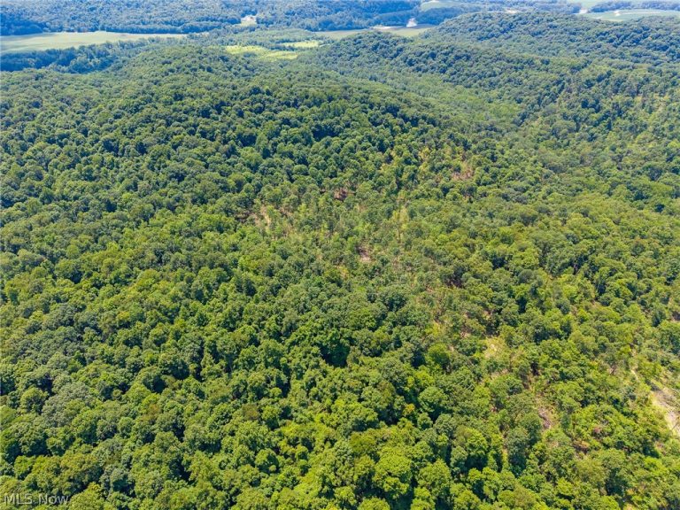 31800 Chestnut Ridge Road, Danville, OH - Photo 8