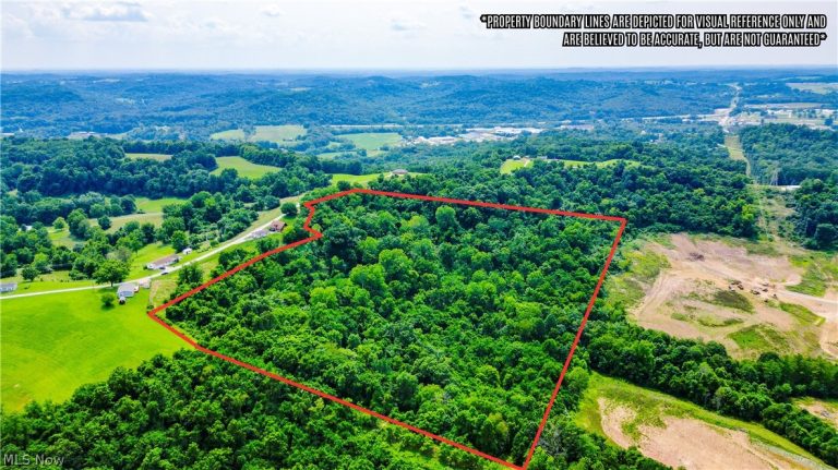 Davis Ridge, Caldwell, OH - Photo 8