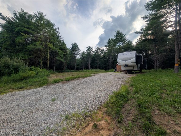 0 Tract A E Reinersville Road, Caldwell, OH - Photo 3