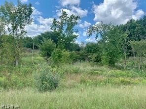 Akron Road, Doylestown, OH - Photo 3