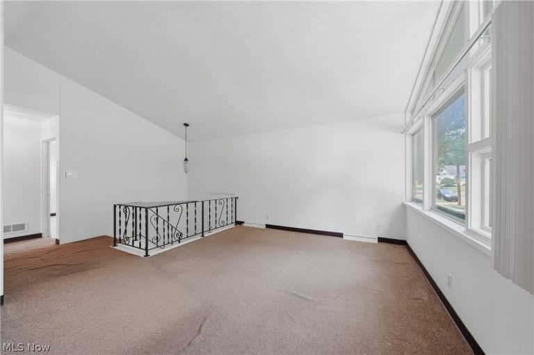 1320 Carnegie Avenue, Akron, OH - Photo 4
