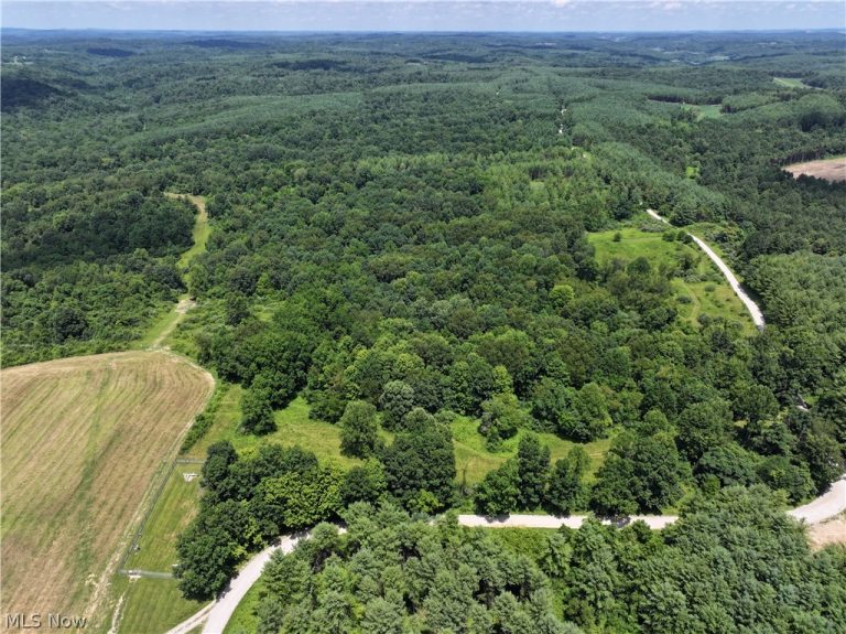 0 Tract B Brownrigg Road, Caldwell, OH - Photo 2