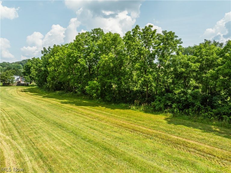 Orchard Street, Baltic, OH - Photo 6