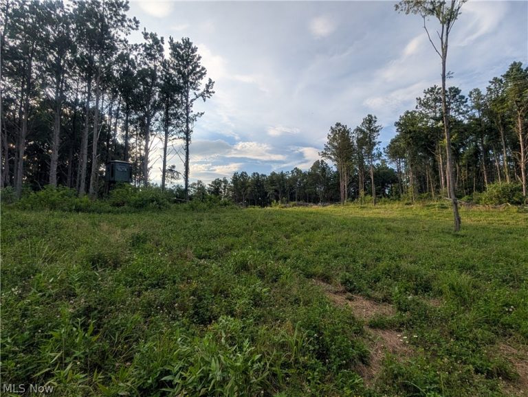 0 Tract D E. Reinersville Road, Mcconnelsville, OH - Photo 2