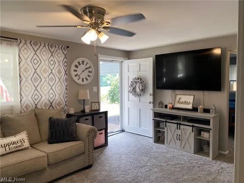256 Roanoke Avenue, Austintown, OH - Photo 3