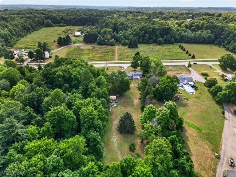 13813 Ravenna Road, Newbury, OH - Photo 6