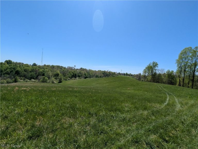 Sandy Lane, Chesterhill, OH - Photo 2
