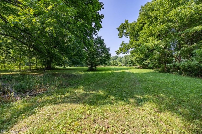 11113 Harmon Road, Berlin Heights, OH - Photo 2