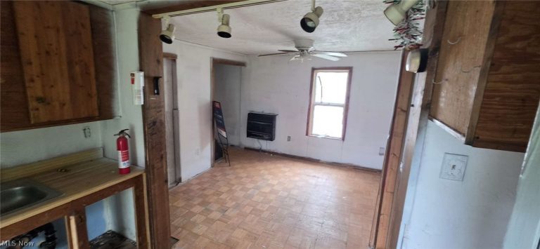 517 Dewitt Street, Lorain, OH - Photo 8