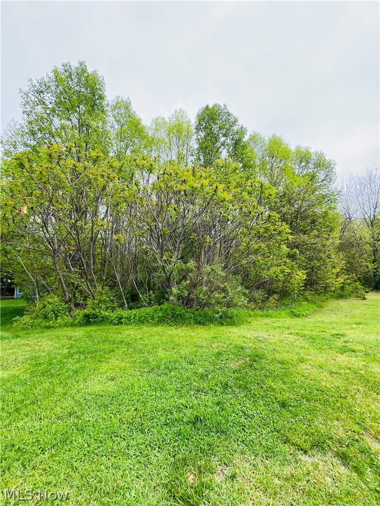 2215 Cambrian Street, Madison, OH, 44057