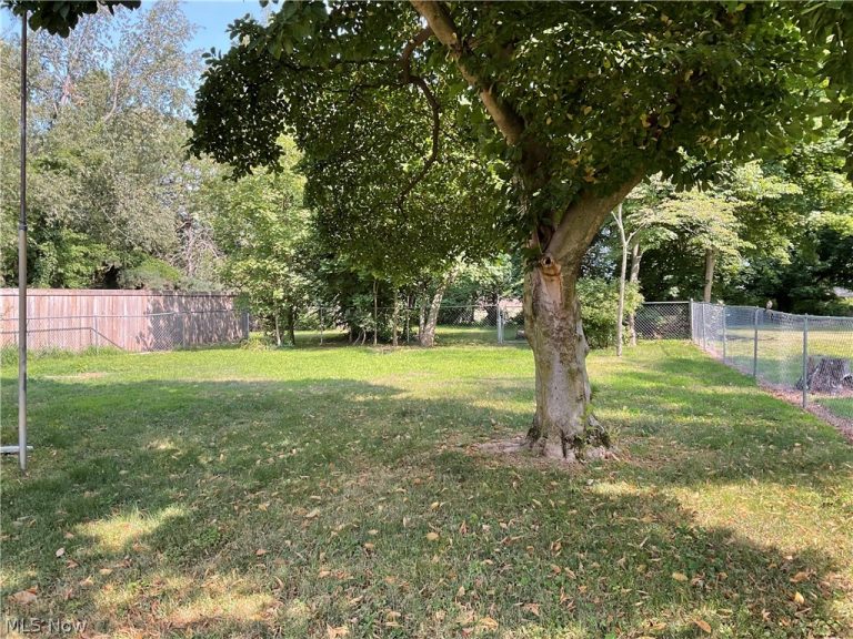 8359 Nowlen Street, Mentor, OH - Photo 3