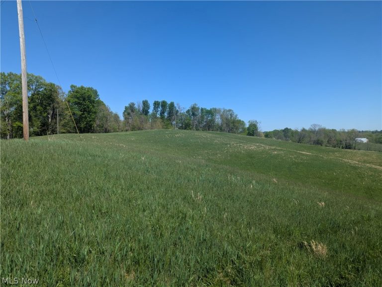 Sandy Lane, Chesterhill, OH - Photo 4
