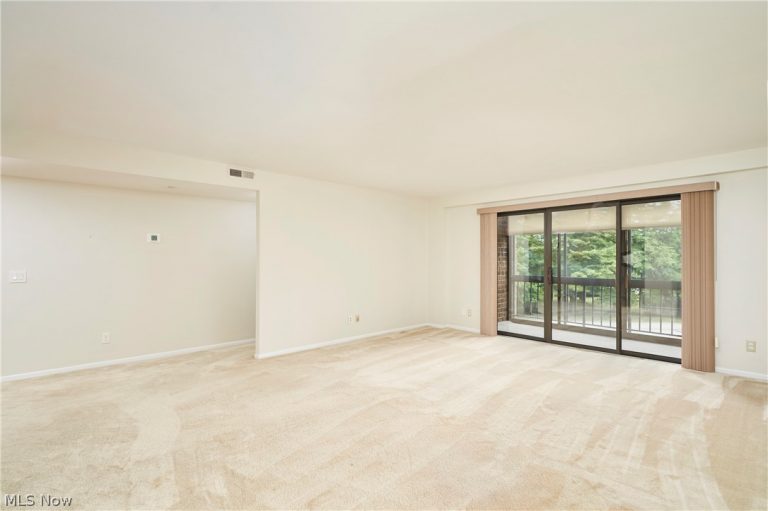 160 Fox Hollow Drive #306, Mayfield Heights, OH - Photo 4