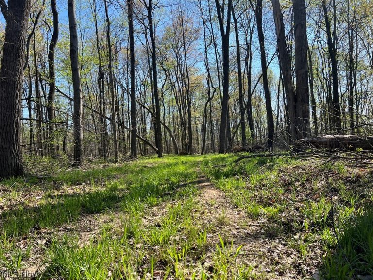 8371 French Hill Road, Bolivar, OH - Photo 6