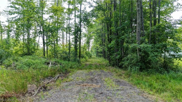 BUSHNELL CAMPBELL, Kinsman, OH, 44428