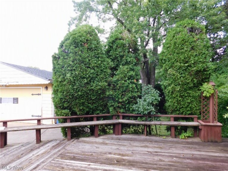 616 Judie Drive, Cleveland, OH - Photo 5