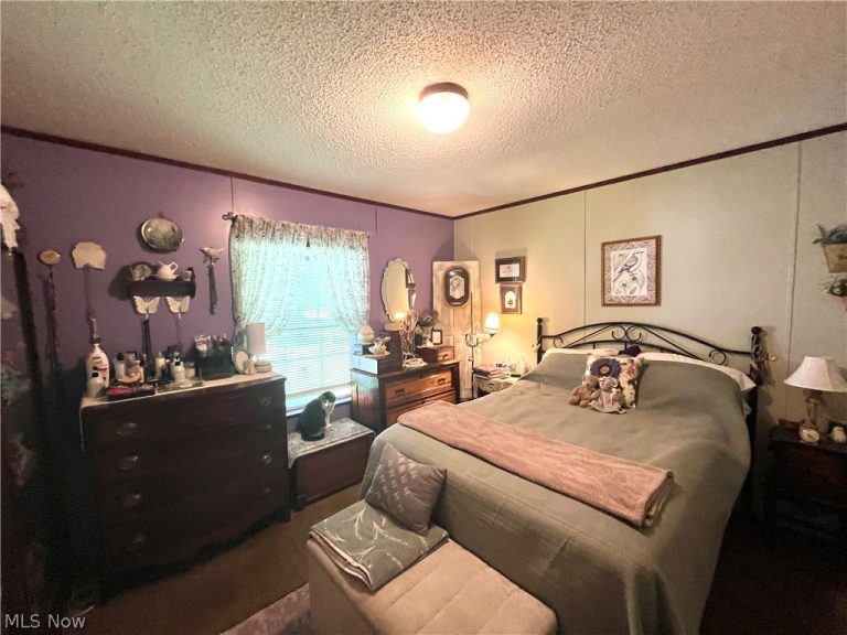 13 Cherokee Lane, Creston, OH - Photo 6