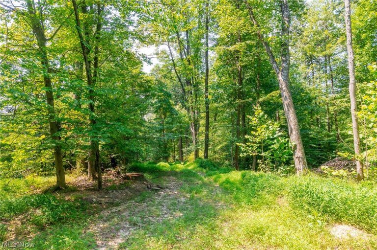 31800 Chestnut Ridge Road #1, Danville, OH - Photo 6