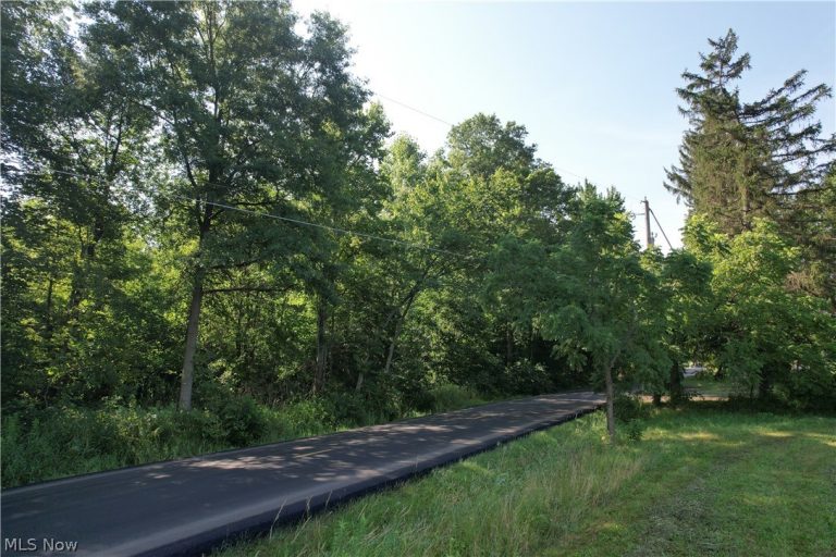 N Mahoning Portage County Lin Road, Lake Milton, OH - Photo 8