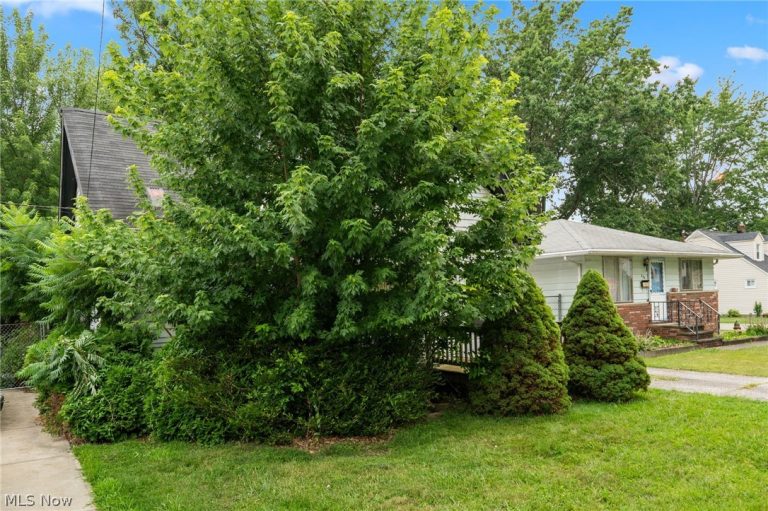 250 Plymouth Road, Eastlake, OH - Photo 2