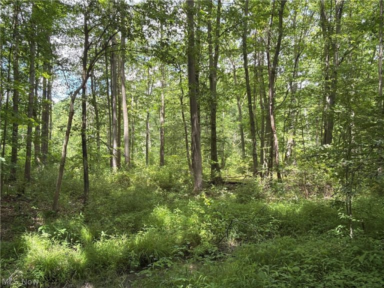 Crosby Cook Road, Rome, OH, 44085