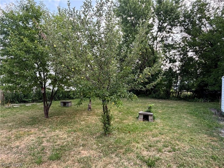829 Whitcomb Road, Cleveland, OH - Photo 6