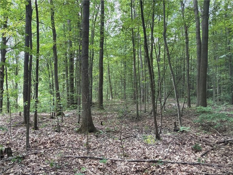 Crosby Cook Road, Rome, OH - Photo 2