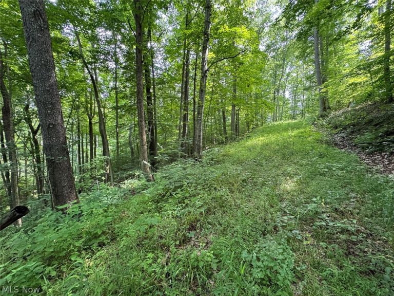 Township Rd 291, Corning, OH - Photo 5