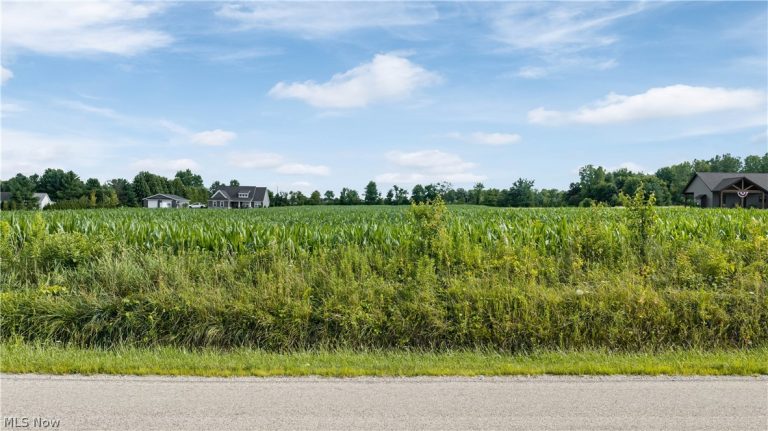 Old Mill Road, Spencer, OH, 44275