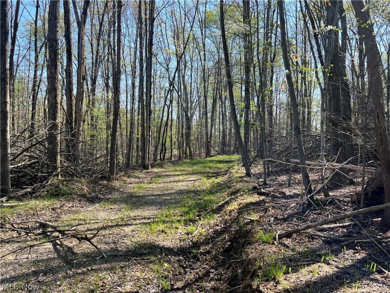 8371 French Hill Road, Bolivar, OH - Photo 8