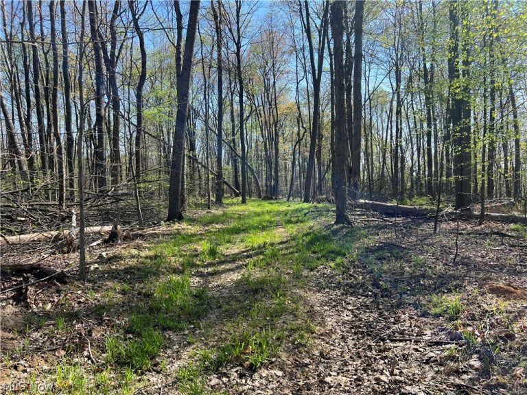 8371 French Hill Road, Bolivar, OH - Photo 5