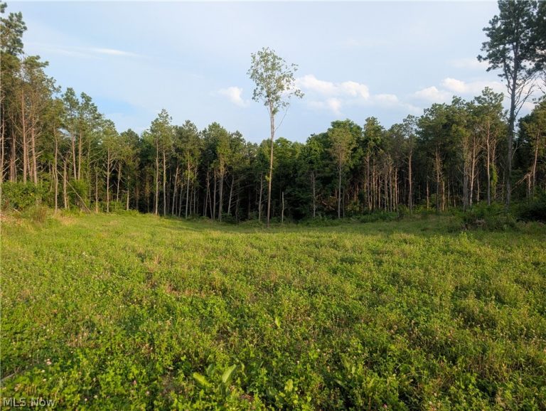 0 Tract D E. Reinersville Road, Mcconnelsville, OH - Photo 8
