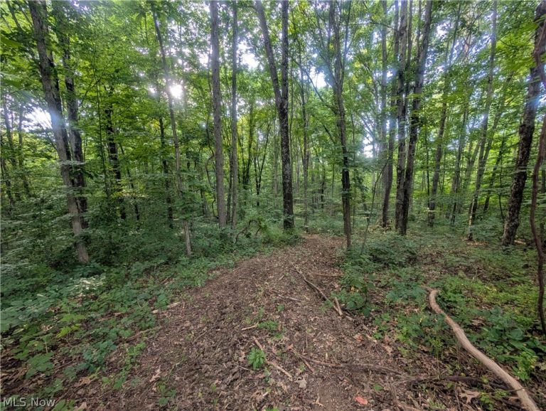 0 Tract ABCD Early Ridge Road, Mcconnelsville, OH - Photo 5
