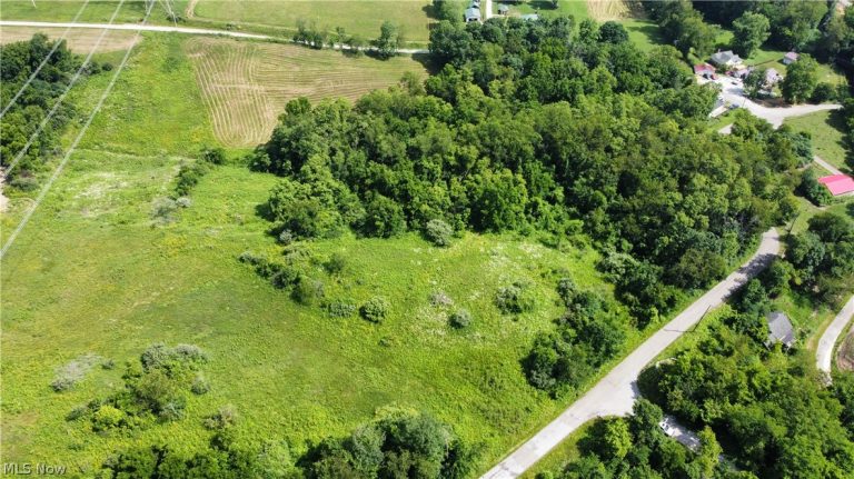 Township Road 135, Dillonvale, OH - Photo 8