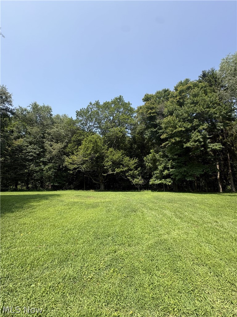 8227 Blade Road, Malvern, OH - Photo 6