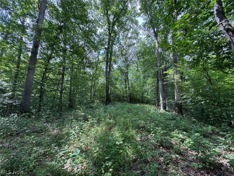 Township Rd 291, Corning, OH - Photo 2