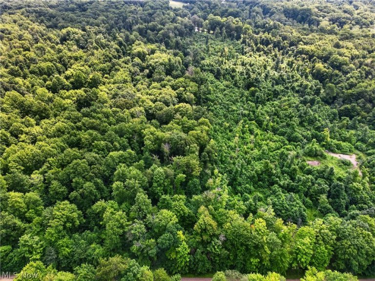 Keefus Road, Conneaut, OH - Photo 2