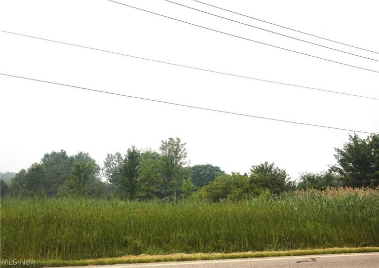 VL Mcmackin Road, Madison, OH - Photo 2