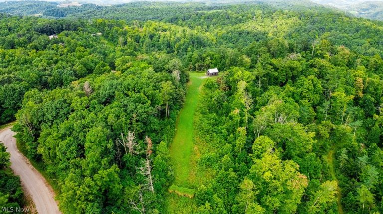 Ogles Ridge Road, Dexter City, OH - Photo 6