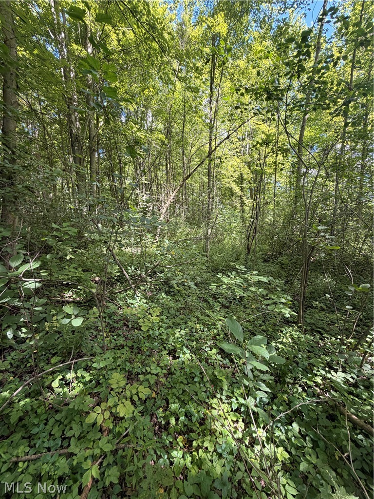 Forman Road, Rock Creek, OH - Photo 6