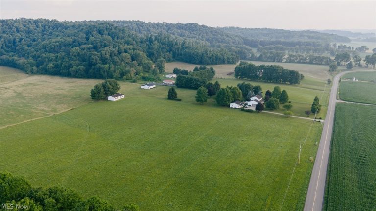 10061 Blade Road, Minerva, OH - Photo 3