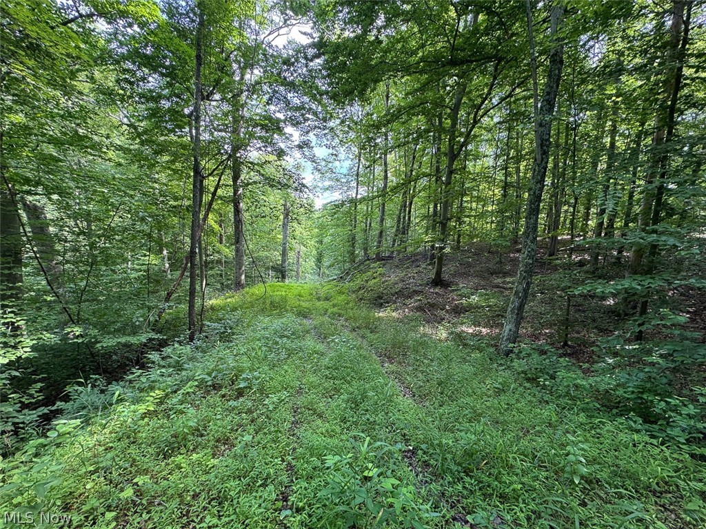 Township Rd 291, Corning, OH