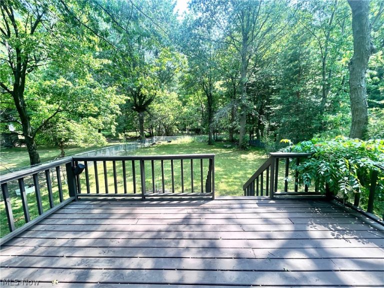1011 Learidge Road, Lyndhurst, OH - Photo 2